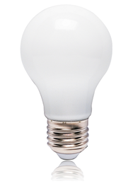 Led bulb 6W